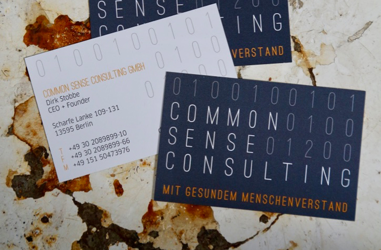 Common Sense Consulting Teaser